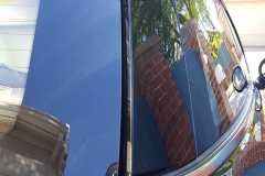 gallery6